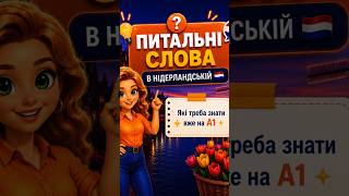 Питальні слова в нідерландській мові #урокинідерландської #нідерландськамова