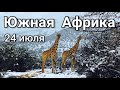 Рекордные морозы и снегопады в Африке, ЮАР