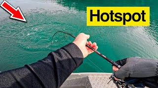 Myslel jsem si, že táhnu STROM! 🪵 Lov candátů, bolenů, sůmců z lodi. 🎣 [Hotspot 2023 Orlík]