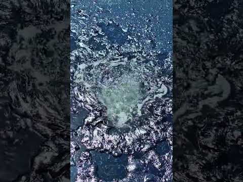 يجب عليك المشاهدة لماذا سميت ذي قار