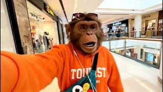 3654006014325610084 75185597407