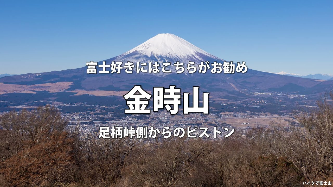 富士好きにはこちらがお勧め　金時山　足柄峠側からのピストン