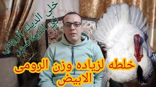 الخلطه الجباره لزياده وزن الديك الرومي الابيض بسرعه رهيبه😎😎😎😎