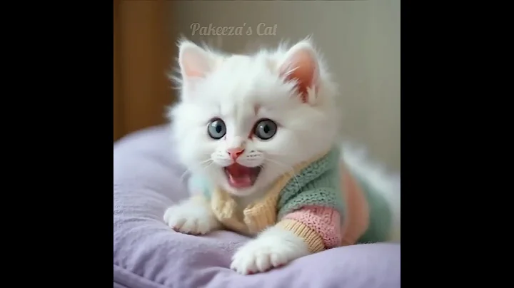 Watch the video about Happy🥳❤️#ai #cat #cute #funny #catlovers #talkingcat #lipsync #kitten #catvideos #pets #fyp