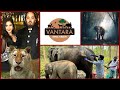 Anant ambanis vantara team travels 3500 km from jamnagar to treat ailing elephant calf in tripura