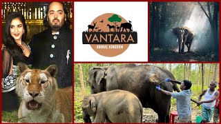 Anant Ambani's Vantara Team Travels 3,500 Km From Jamnagar To Treat Ailing Elephant, Calf In Tripura