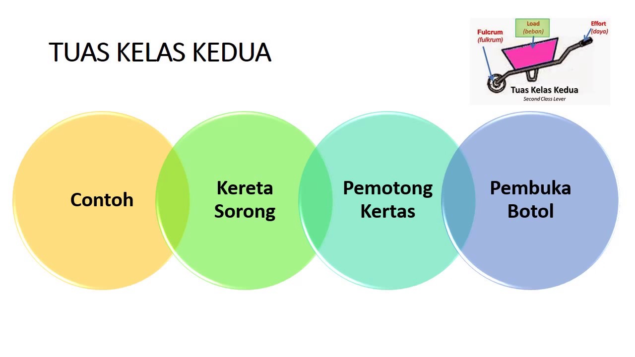 Sains Tingkatan 2 (Bab 10) - (Part 2 of 2) - YouTube