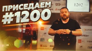 Приседаем #1200