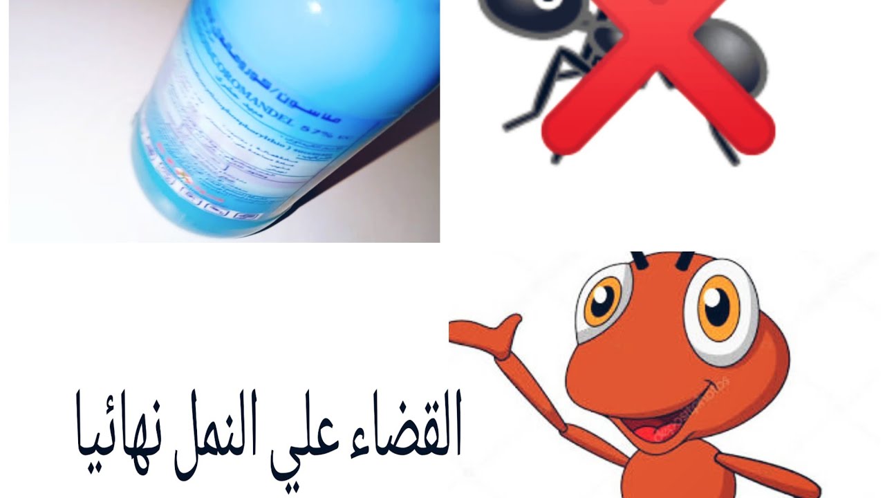 بديل دوا الاكتومثرين للقضاء علي النمل والصراصير نهائيا لمده عام# ...