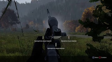 DayZ Blaze Double Kill