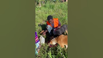 Please donate if you can PayPal me link in my bio