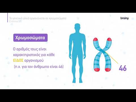 Βίντεο: Ποια είναι η συγκεκριμένη θέση ενός γονιδίου σε ένα χρωμόσωμα;