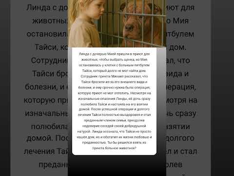 Как больной питбуль стал героем нашей семьи 🐶❤️ #ИсторияСпасения #Любовь #животные