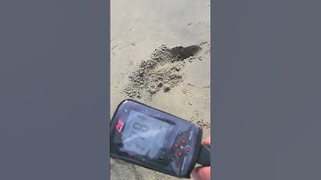 Silver Ring on the Beach! Minelab Manticore Beach Metal Detecting.
