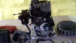 Tecumseh Engine Part 1