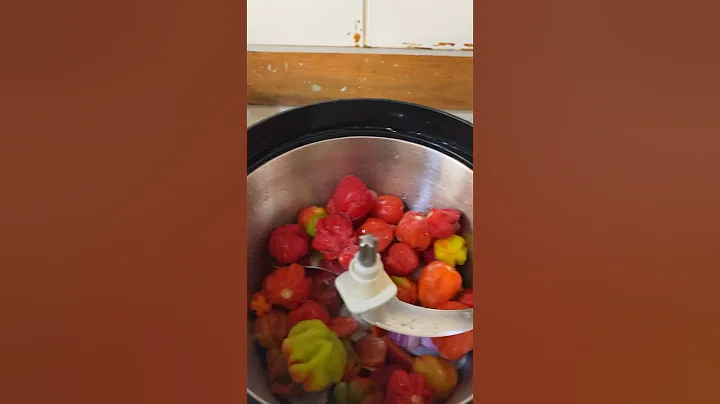 Blending fresh peppers. #freshpepper #foodprocessor #pinnacle #dockeeys #cooking #prepping #food