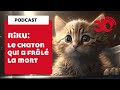 PODCAST - Riku, le chaton qui a frôlé la mort