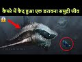 समंदर की गहराई में दिखा एक खतरानक जीव | 5 mysterious sea creatures caught on camera