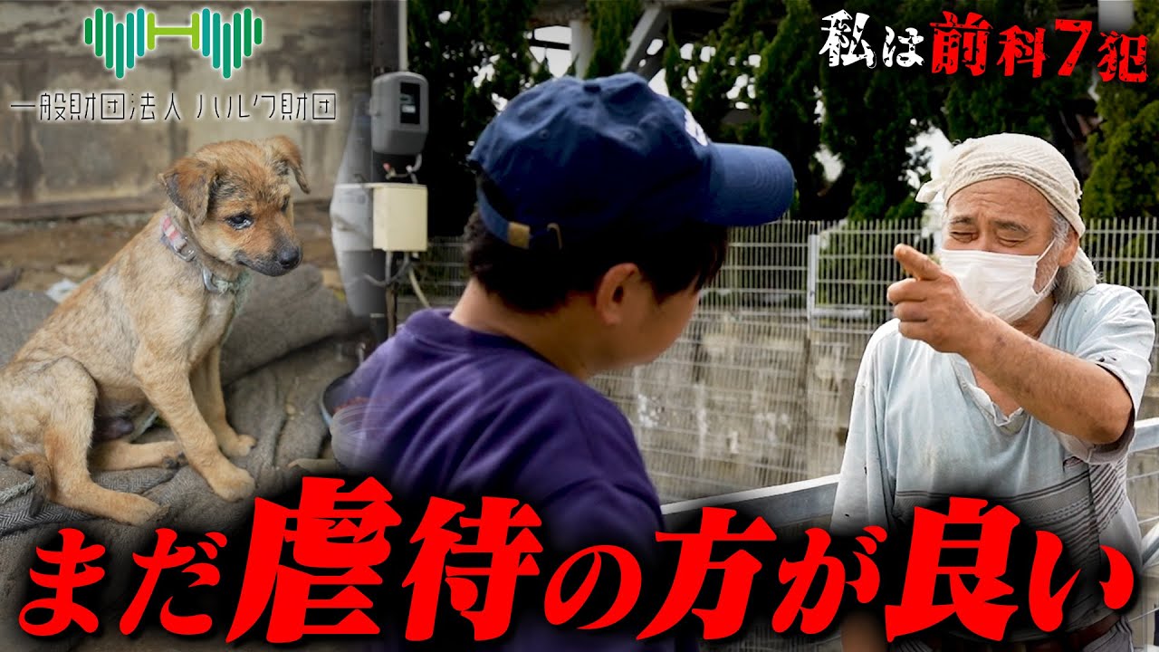 【殺した犬は100匹以上】他人の家を30年間占領し、動物虐待を続けた男の家を強制解体します