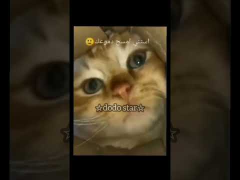 زعلان ه ليه بقى