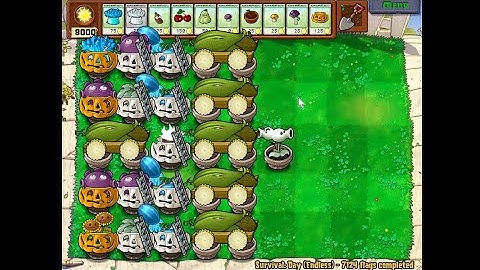 Rear 6 Cob Setup | Day Endless