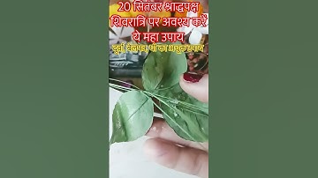 20 सितंबर श्राद्ध पक्ष शिवरात्रि पर अवश्य करें दूर्वा, बेलपत्र, घी का अचूक उपाय💯 #shorts #shiv #upay