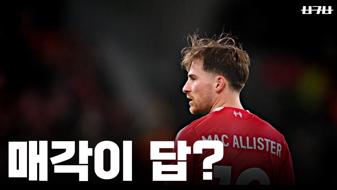 마카 판매? 반드시 해야한다면 올여름이 적기일까?