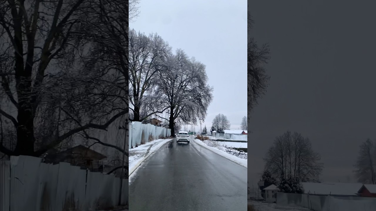 Snow covered Nunar Campus of Central university of Kashmir #cukashmir