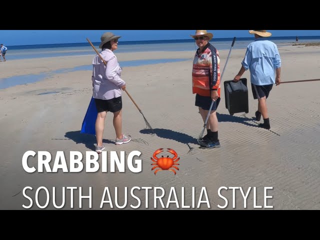 Crabbing at Moonta Bay, SA