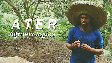 O que é agente de Ater?