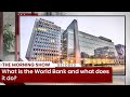 What is the world bank and what does it do