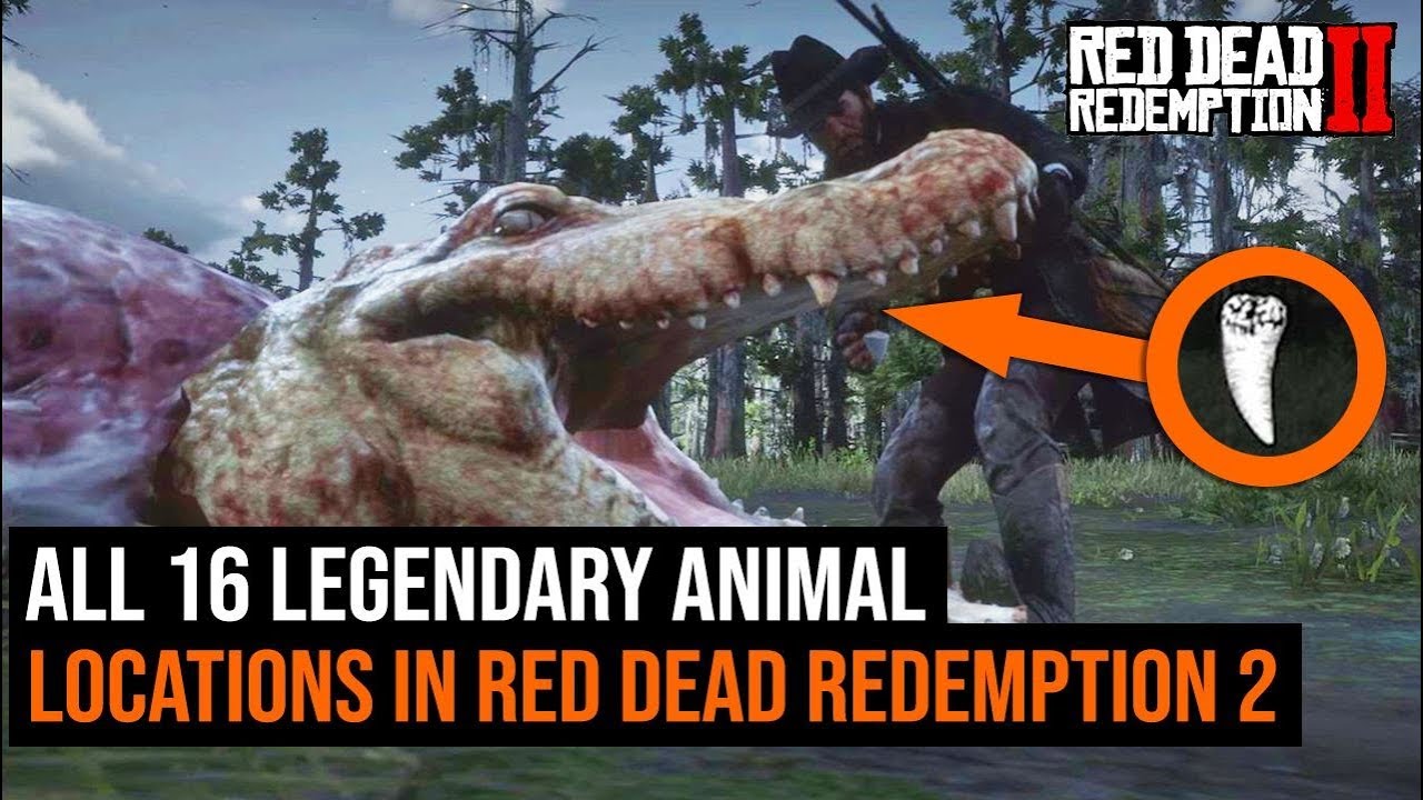 ALL 16 Legendary Animal Locations in Red Dead Redemption 2