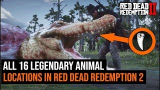 ALL 16 Legendary Animal Red Dead Redemption 2 -