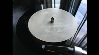 Orbital - Snivilisation (Full Album 1994 Vinyl)