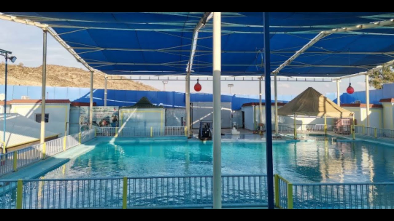 عرض الدلافين ف حديقه الحيوان (كلب البحر) وركوب الخيل والجمال بالطائف الجزء الاول