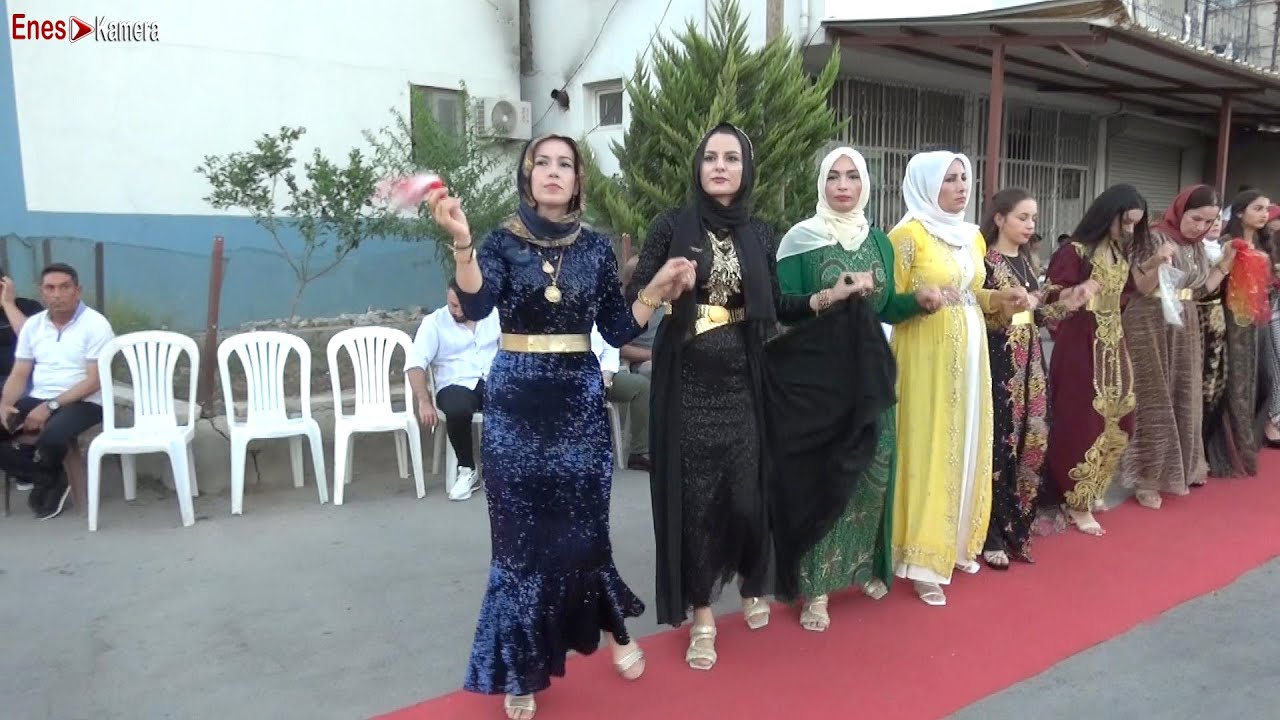 Güzel Bir Grani Halayı 2023   Ağır Delilo   Düğün   Tofan Erdal