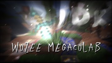 My Part in Wozee’s Megacolab