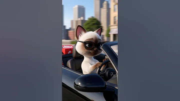 Video 11733461: siamese cat, kitty walking, little kitty