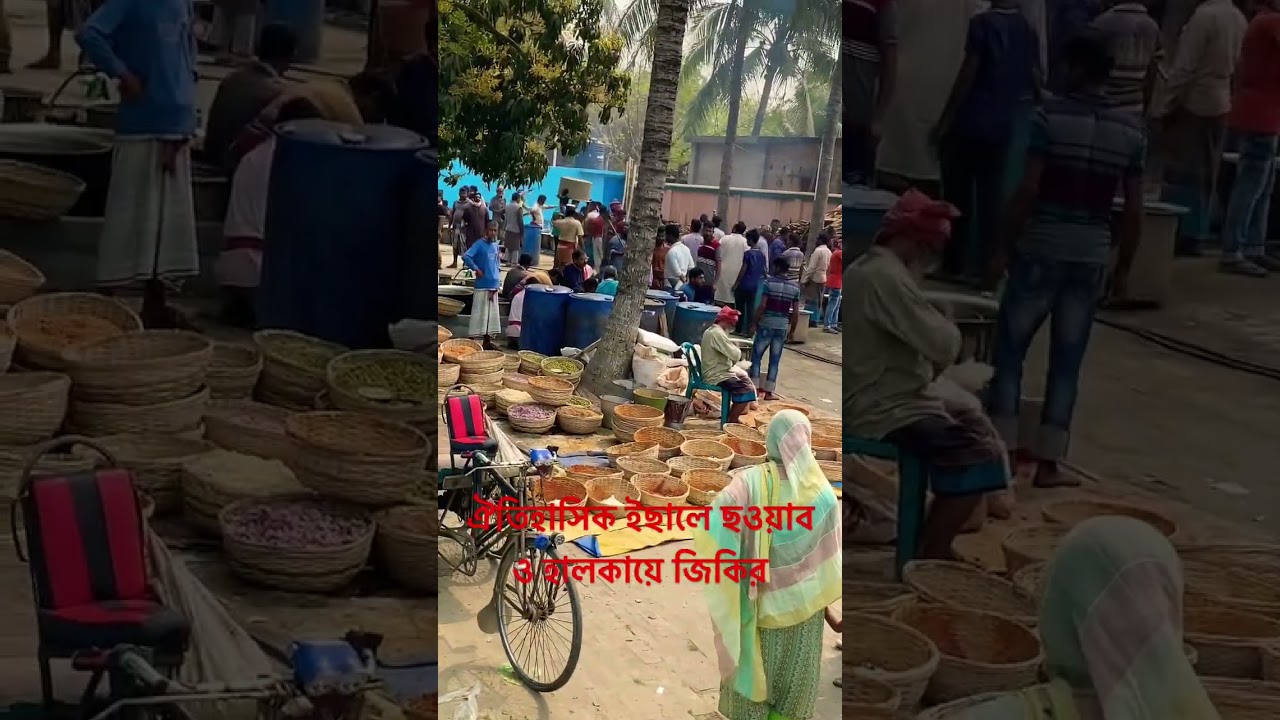 পীরগঞ্জ (ঠাকুরপুর) মসজিদ প্রাঙ্গন