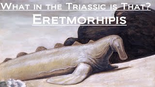 Prehistoric Breakdown: Eretmorhipis