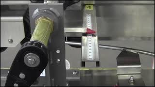 Pick and Place Case Packer and Sealer