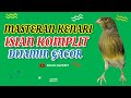 Masteran Burung Kenari Komplit Full Isian Omkicau(.mp3 .mp4) Mp3 - Mp4 Download