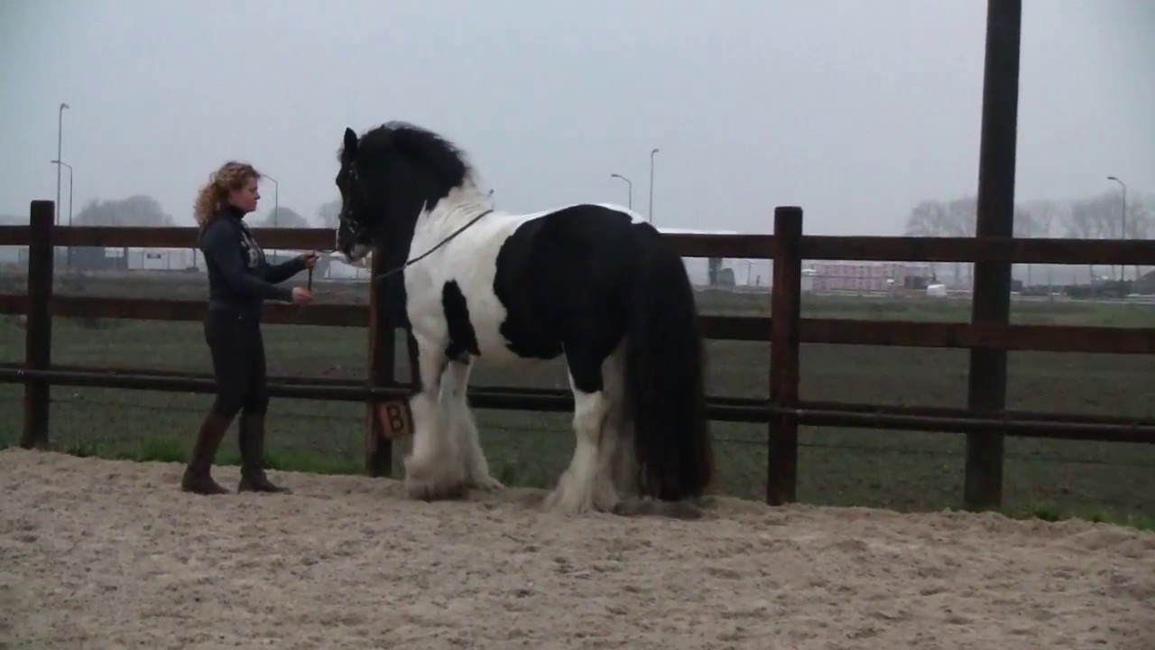Bianca Boonacker en Tossy-Go-Go training december 2016