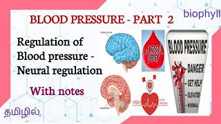 REGULATION OF BLOOD PRESSURE | PART - 2 | IN TAMIL |