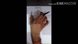Gate 2016 numerical solution by Macalays Method Net Worth