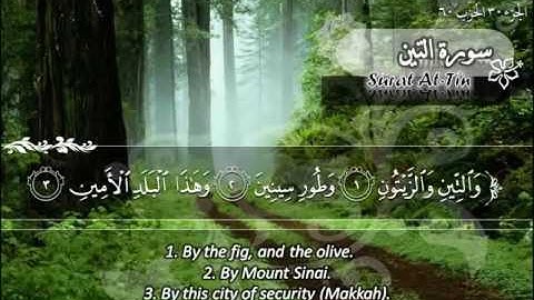 سورة التين ٩٥ ماهر المعيقلي