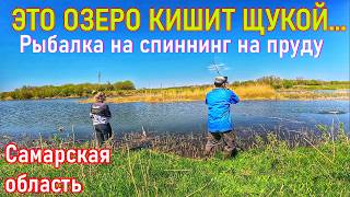ЗА ЩУКОЙ НА ЮГ САМАРСКОЙ ОБЛАСТИ/СПИННИНГ С БЕРЕГА/ЛОВЛЯ ЩУКИ И ОКУНЯ/РЫБАЛКА НА ТЕЙЛ-СПИННЕР,БЛЕСНУ