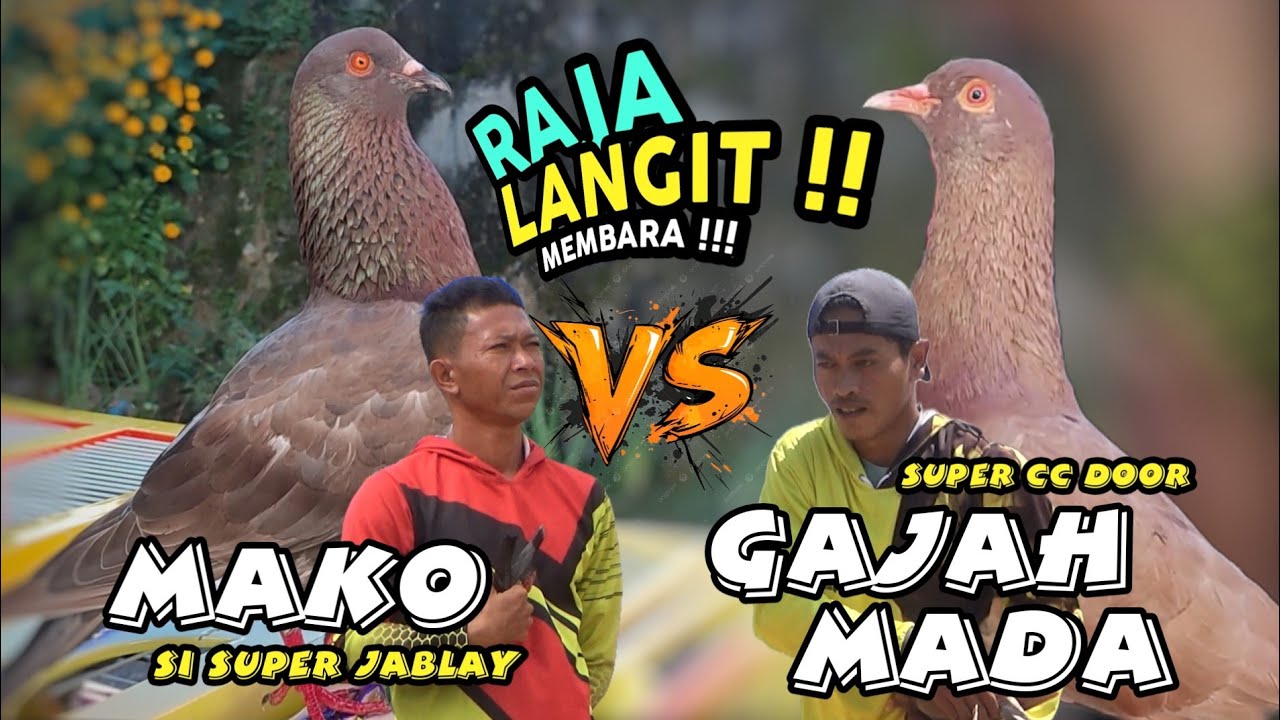 Final BOB Liga ATANTIS Lapak UBK Banyumas 35 Juta