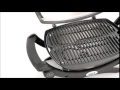 grilled bbq chicken Weber 52020001 Q1400 Electric Grill4 grilled bbq chicken Weber 52020001 Q1400 Electric Grill4