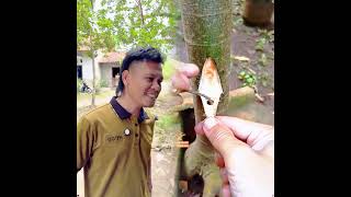 #commentbelow#likeandshare#relatable#funny#shorts#pov#humor